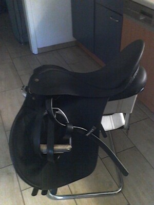 Vielseitigkeitssattel Wintec Basic Austrian  , Leder, 17 Zoll  Gebraucht 