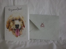 Hopper Studios - Special Friend - A Golden Retriever on cover