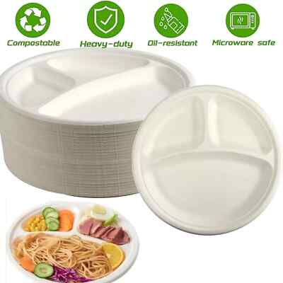 3 Fächer Teller 10'' (26cm) Bagasse Einweg Speiseteller x 50
