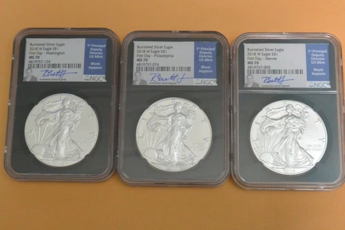 2018 W Burnished Silver Eagle NGC MS70 JEPPSON FIRST DAY OF ISSUE LOCATIONS SET