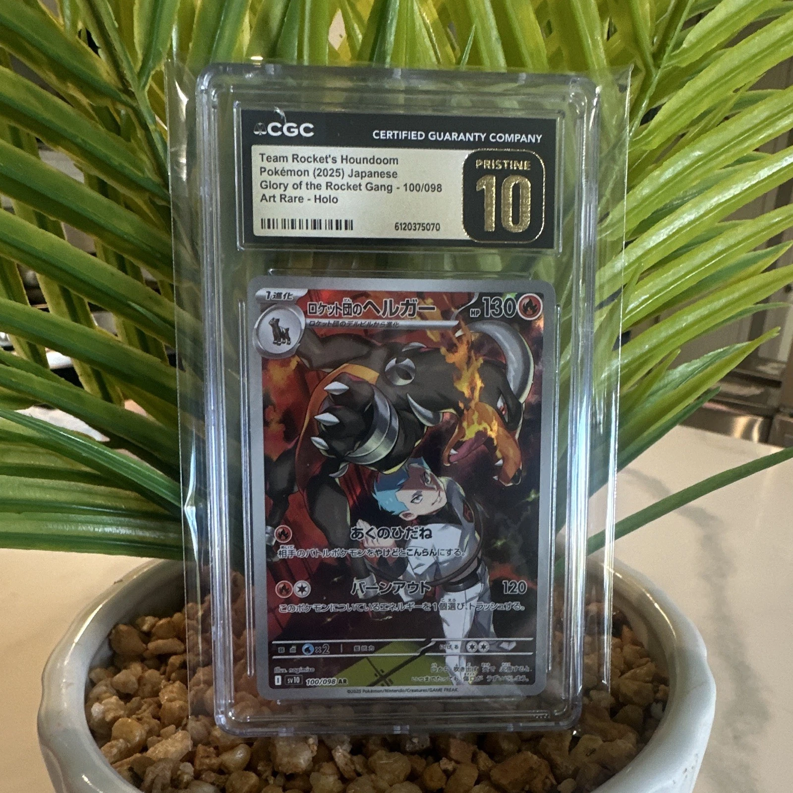 Pokémon Team Rocket's Houndoom CGC Pristine 10 Art Rare Holo Japanese 100/098