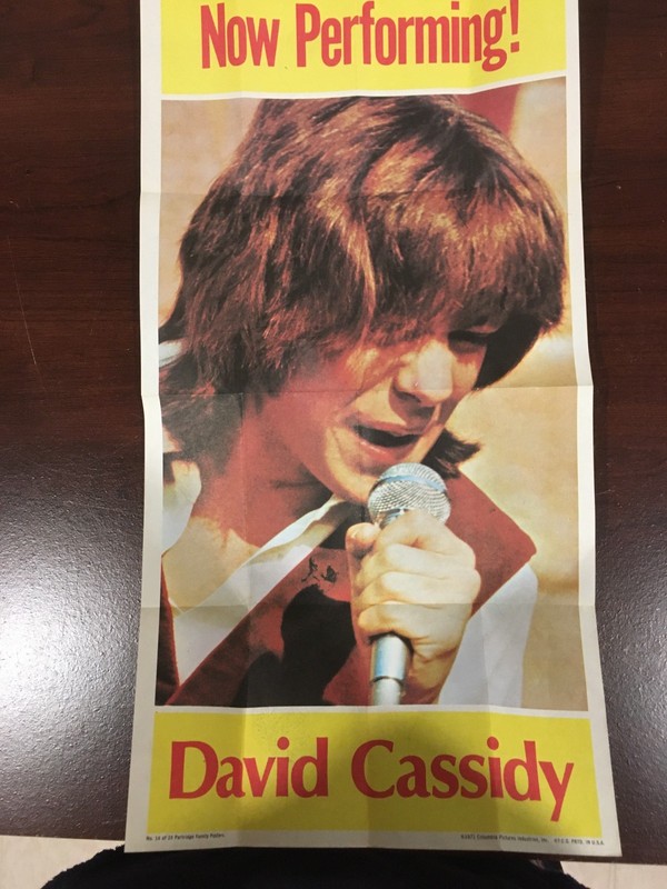 1971 DAVID CASSIDY PARTRIDGE FAMILY POSTER #14 TOPPS 9 X 18 INCHES