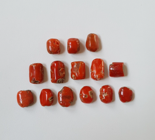 Corallo Rosso Italiano Naturale 34,50 Ct - Cabochon Ovale, Pietra Sfusa Da Collezione