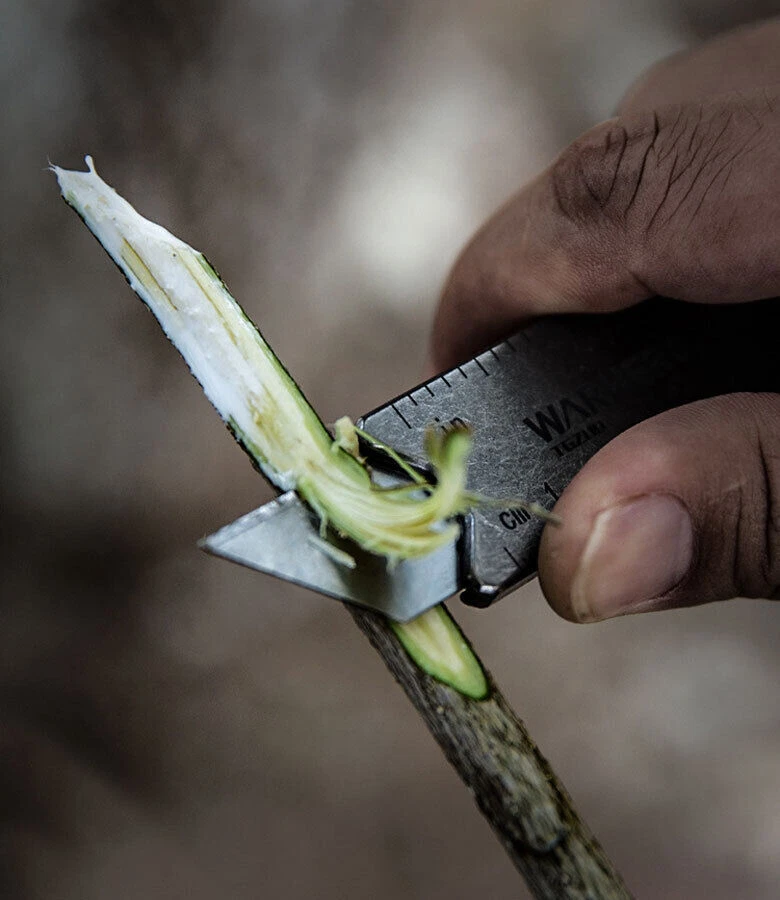 Premium Titanium Utility Knife Opener Crowbar Wrench Tactical EDC Tool Keychain - Image 3 of 4