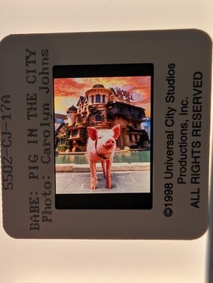 BABE PIG IN THE CITY ORIGINAL 35mmColor Slide A543