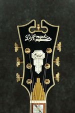 DANGELICO Excel EXL-1 Throwback Viola Electric Guitar Used