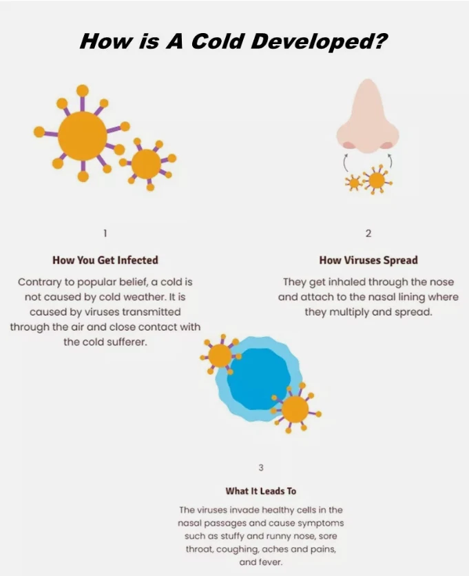 10 X BETADINE Adult Cold Defence Nasal Spray 20ml Helps Stop Colds Early DHL - Image 3 of 4