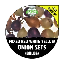 MIXED ONION SETS (Red White & Yellow Bulbs) - NON-GMO Heirloom Plant Seed Spring