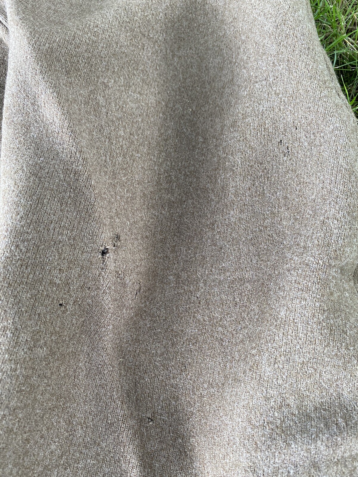 Picture 8 of 12