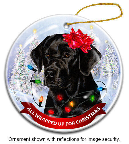 All Wrapped Up Ornament - English Black Labrador Retriever - Picture 1 of 1