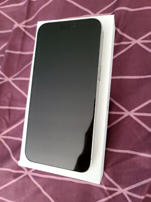 Apple iPhone 15 Pro Max - 256 GB - Silver (Unlocked) (CA) | eBay