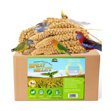 Spray Millet for Birds 5LB - All Natural Sun-Dried Healthy Treat, Millet Spra...
