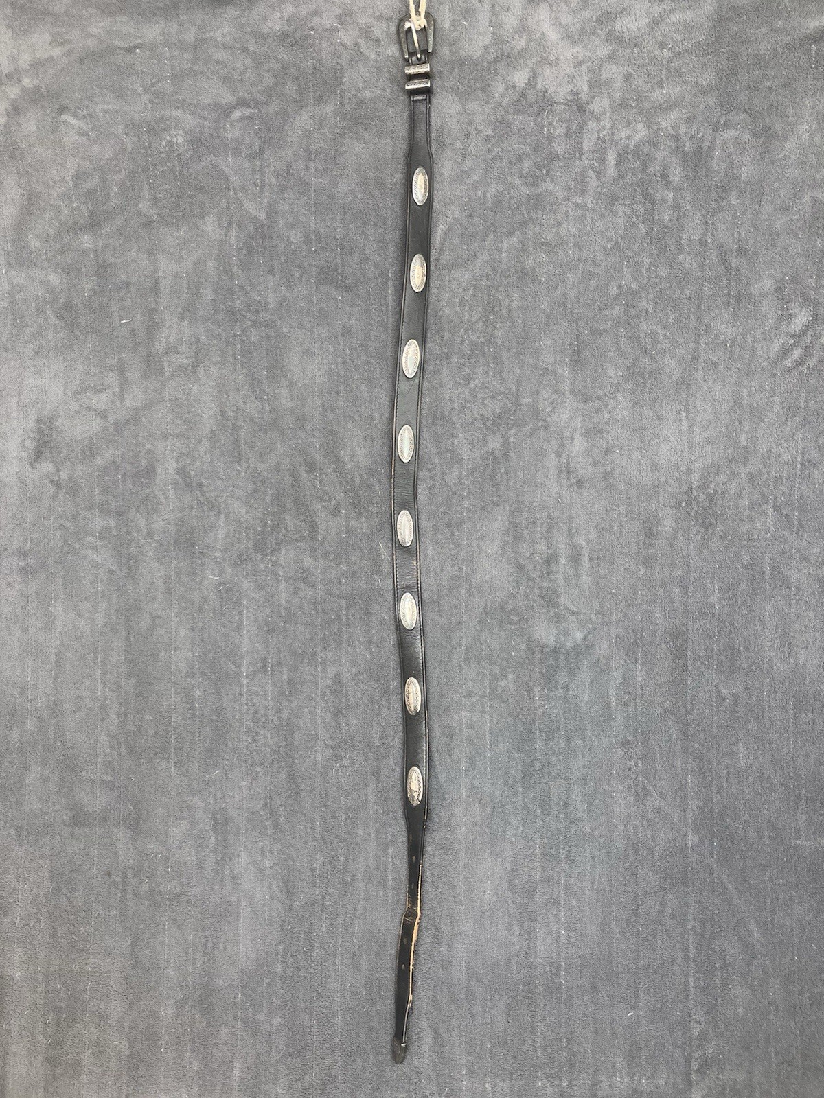 Picture 5 of 16