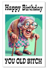 Happy Birthday You Old Bitch Funny Birthday Card Greeting Card GC05