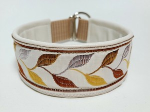 italian greyhound martingale collar