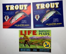 Wholesale Lot Of 3 Fishing Vintage Original Fruit Crate Labels Signs Trout Life