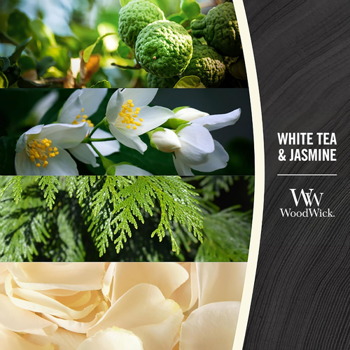 WoodWick Scented Candle with Crackling Wick White Tea & Jasmine Mini Hourglass - Picture 2 of 7