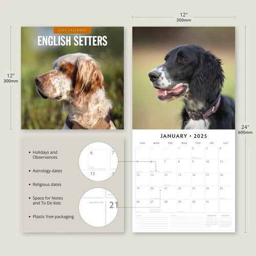 English Setters 2025 Square Wall Calendar