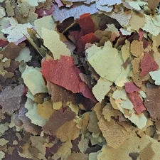 Probiotic Phytoplankton Plus Flake