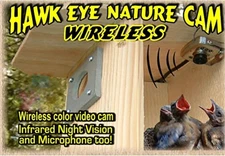 Birdhouse Nature Cam BCAMHEW Hawk-Eye Wireless Camera