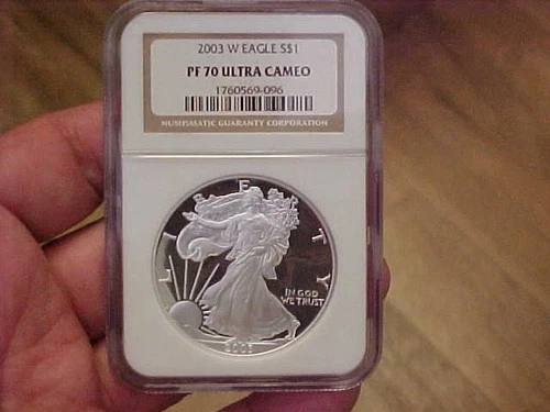 2003-W American Silver Eagle Proof — photo from another recent sale