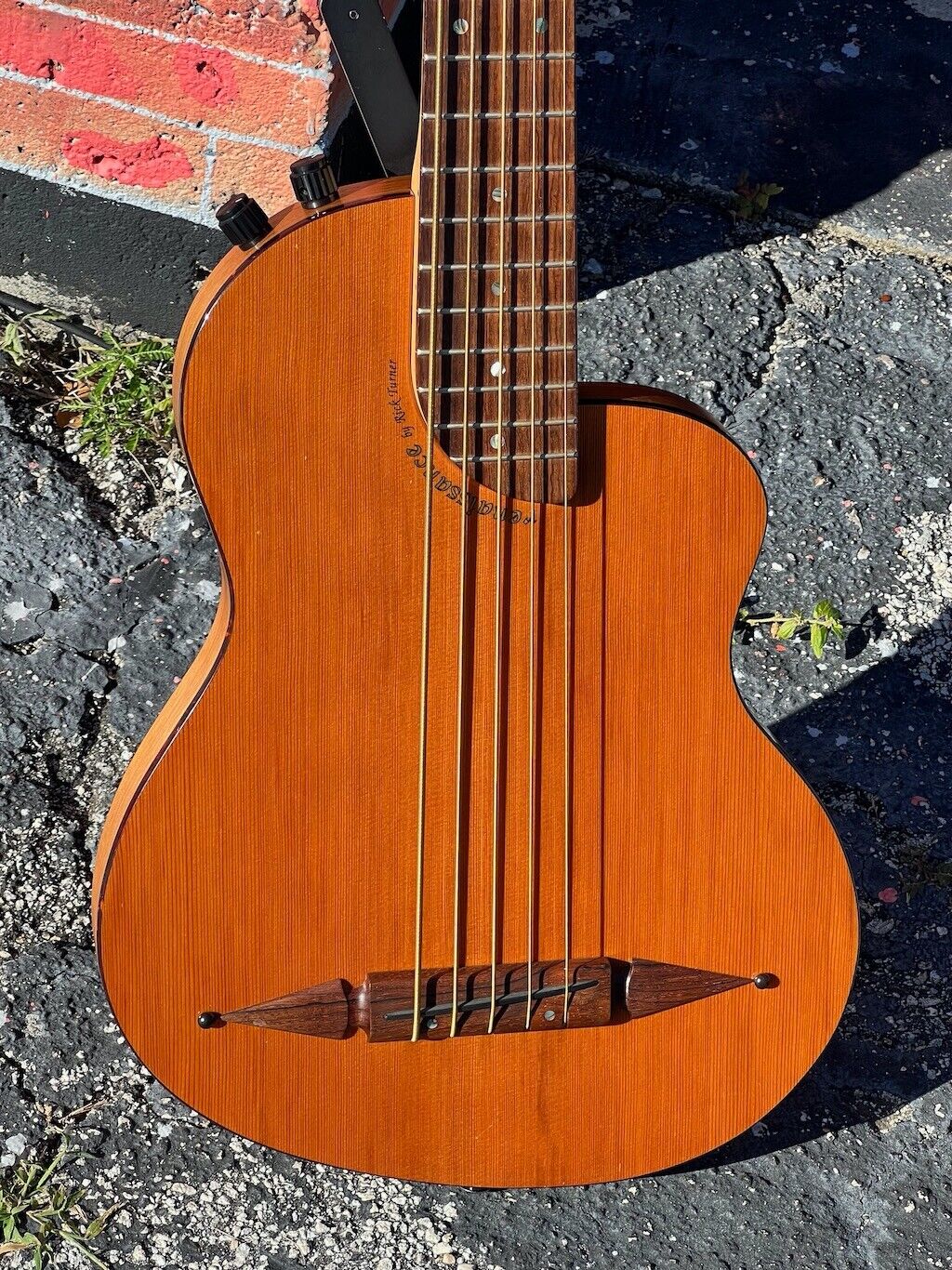 2000 Rick Turner Renaissance RB5 5-String Bass 22 years old not made by Rick T.