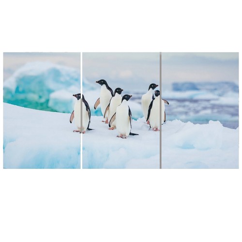 Quadro su Tela Pinguino carino inverno con cappello e sciarpa