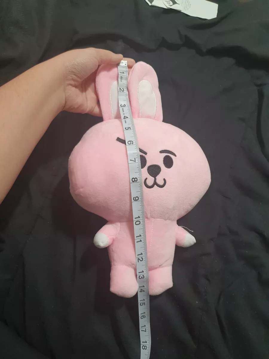 Cookie 2025 plushie bt21