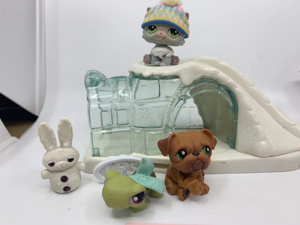 Littlest pet sale shop g1
