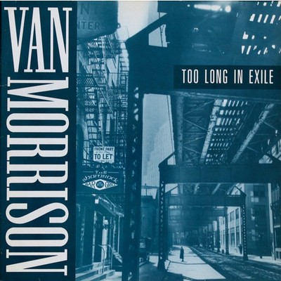 Van Morrison - Too Long In Exile (Vinyl 2LP - 1993 - EU - Original)