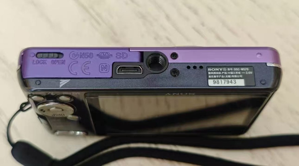 SONY Cyber-shot DSC-W570 Purple 16.1MP 5x Optical Zoom Digital
