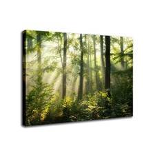 Green Forest Wall Art Pine Tree Pictures of Nature Art Wall Decor Landscape M...