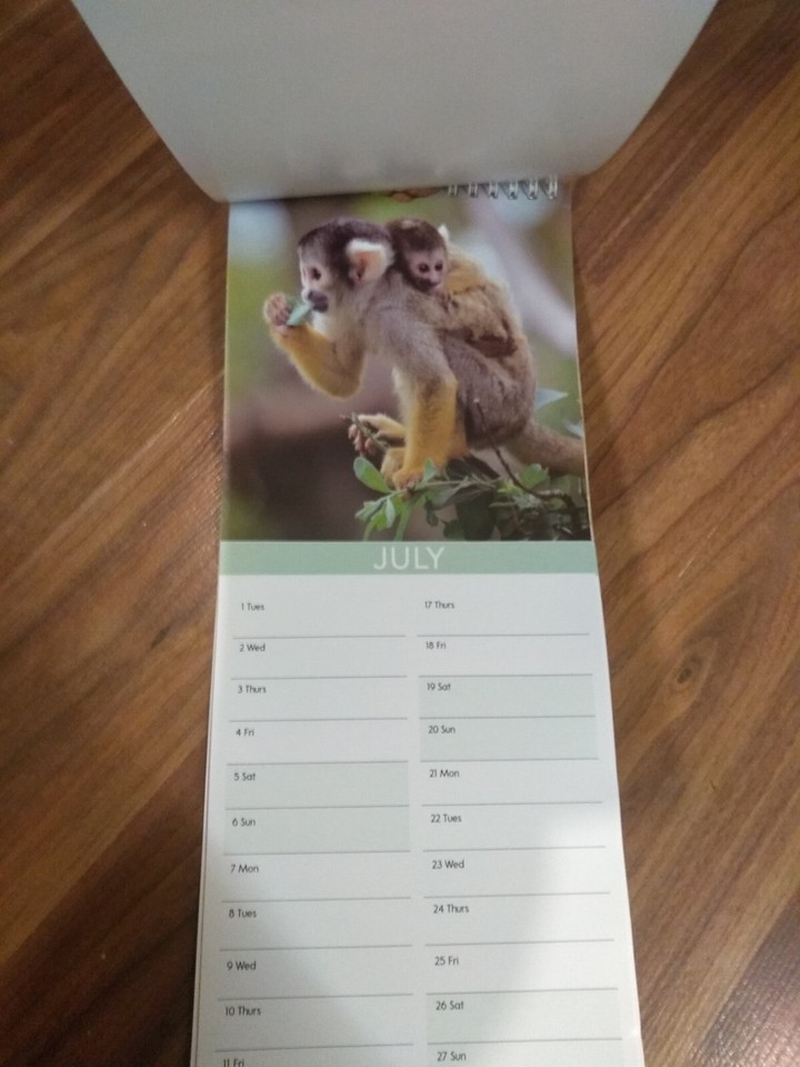 Cutest Baby Animals Slimline 2025 Calendar. Beautiful Photography Of