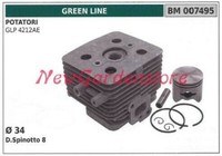 Zylinder Kolbenringe Green Line Motor Astschere Glp 4212AE 007495