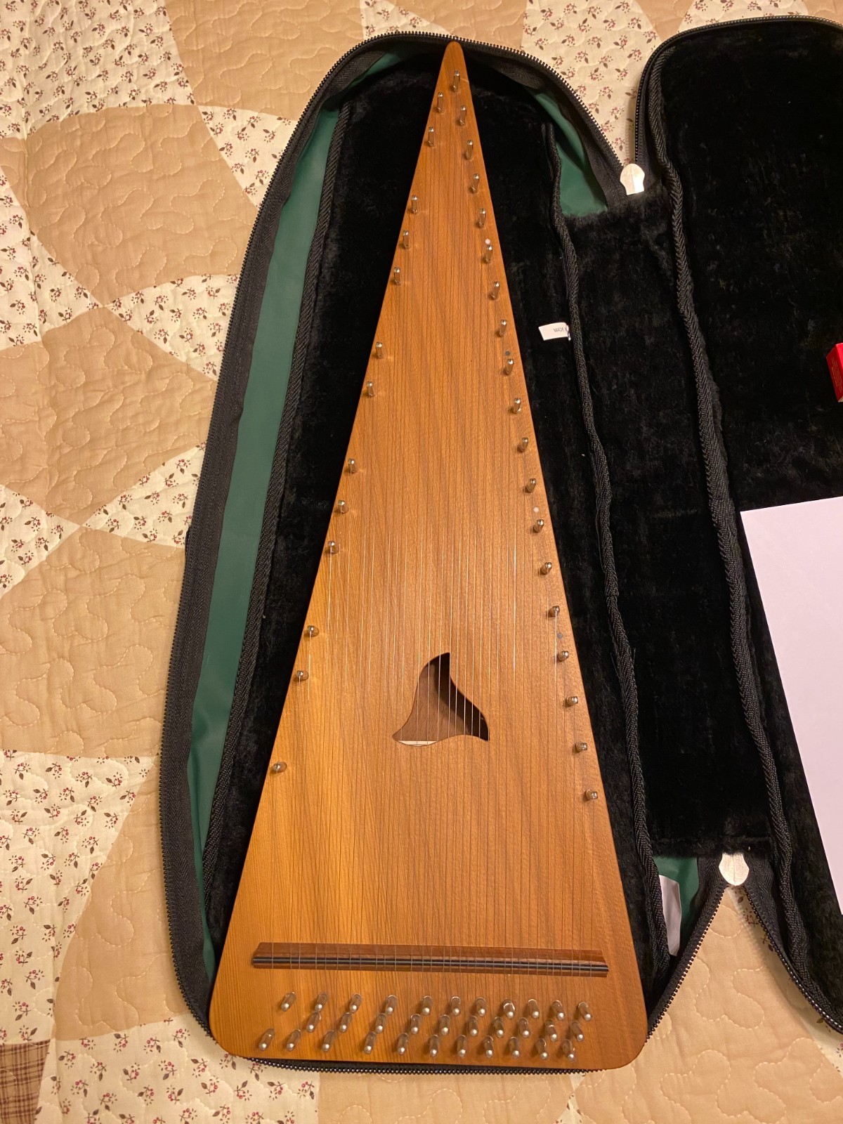 James Jones Two and One Half Octave Alto Bowed Psaltery 1" w/soft case 32 String