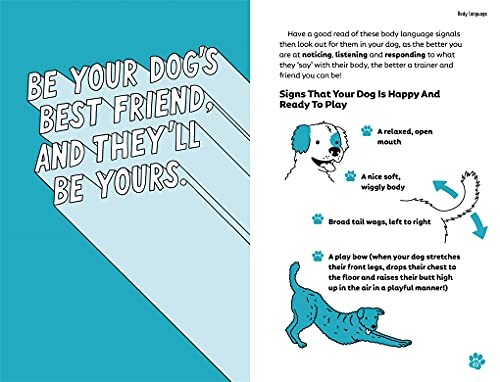 Steve Mann - Easy Peasy Awesome Pawsome Hundetraining für Kinder ' - O84z - Bild 5 von 7