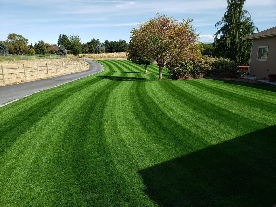 Sulfate of Potash SOP 0-0-50 Fertilizer lawns gardens deer food plots FAST SHIP! - Image 4 of 4