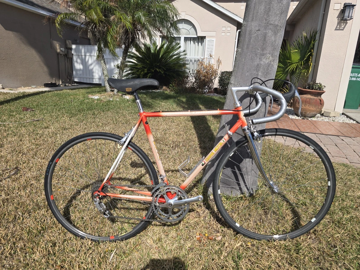 Pompe à Vélo Vintage Sapo Campagnolo – Fabriquée En Italie – Blanc Collection