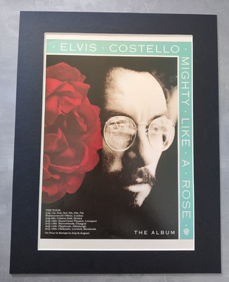 Elvis Costello Mighty Like a Rose 1991 Tour Promo Original Advert Mounted 14x11''