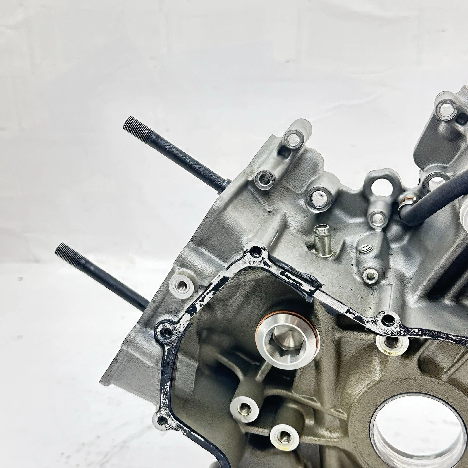 2016 - 2019 DUCATI PANIGALE 959 CRANKCASE ENGINE MOTOR BLOCK CASE BOLTS HARDWARE
