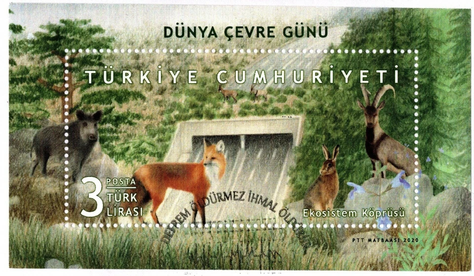 TURKEY 2021 SDC (World Environment Day) EARTHQUAKE DOES NOT KILL NEGLECT DOES - Image 2 of 4