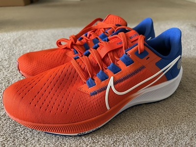 Nike Pegasus 38 Florida Gators UF Orange Shoes Men s Size 8.5 DJ0826 800 New eBay