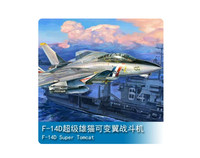 03203 Trumpeter 1/32 Scale Grumman F-14D Super Tomcat Plastic Model Kit