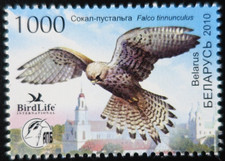 TIMBRE de BIÉLORUSSIE - OISEAUX N°693 NEUF ** LUXE MNH