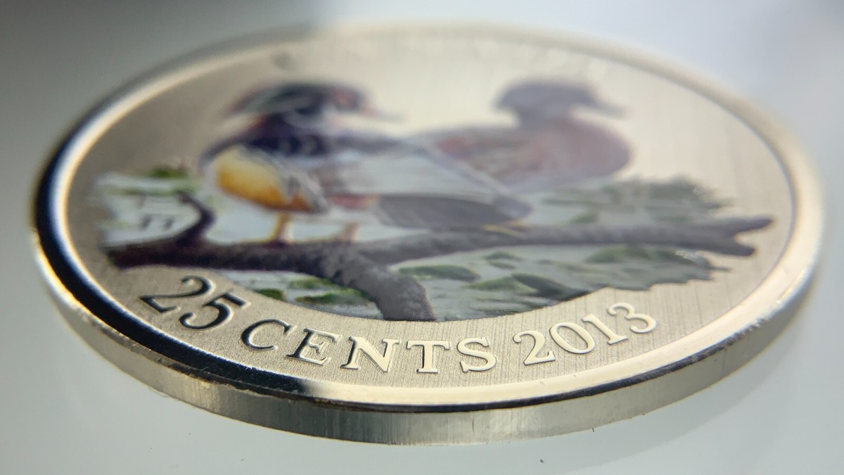 2013 Canada 25 Cents Specimen Coloured Coin Wood Duck RCM in Case