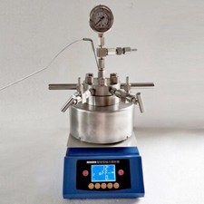 Mini Magnetic Stirring High Pressure Reactor Hydrothermal Synthesis Autoclave