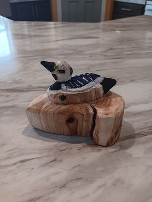 Rustic, Hand Carved, Wooden Steller's Eider Duck Drake Carving