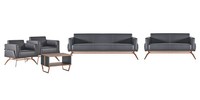 Arbeitszimmer-Set 5Tlg 3-Sitzer 2-Sitzer 2X Sessel Couchtisch Grau Braun