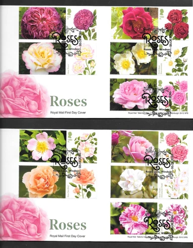 GB RM 2026 Roses Collector Sheet X2 FDC Windsor postmark + Empty Sheet Freepost