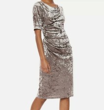 Women's Adrianna Papell  Dress - Mocha Brown , Crushed Velvet, Size 2 NWT